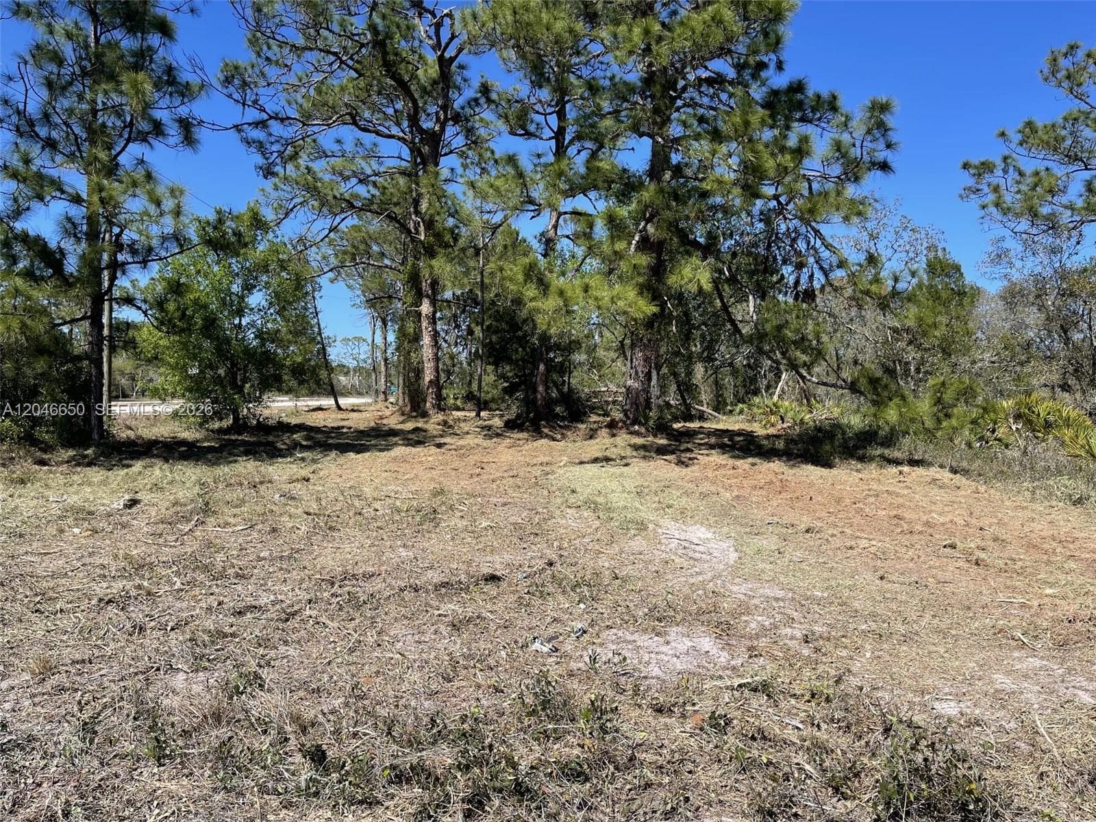 3204 SR 66, Sebring FL 33185