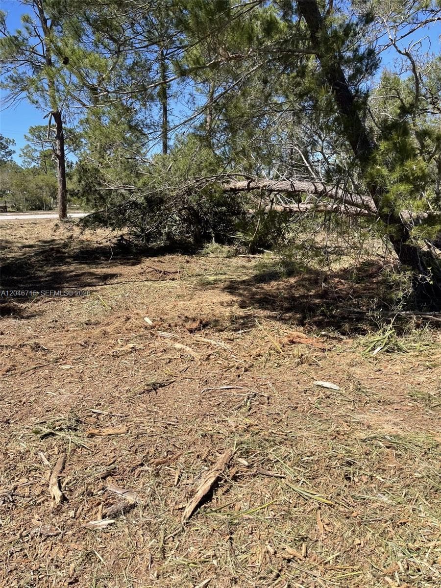 3206 SR 66, Sebring FL 33185
