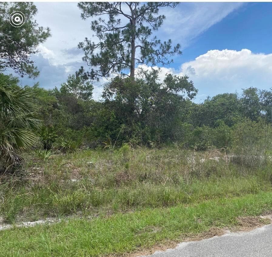 1010 Archie Summers Road, Lake Placid FL 33852