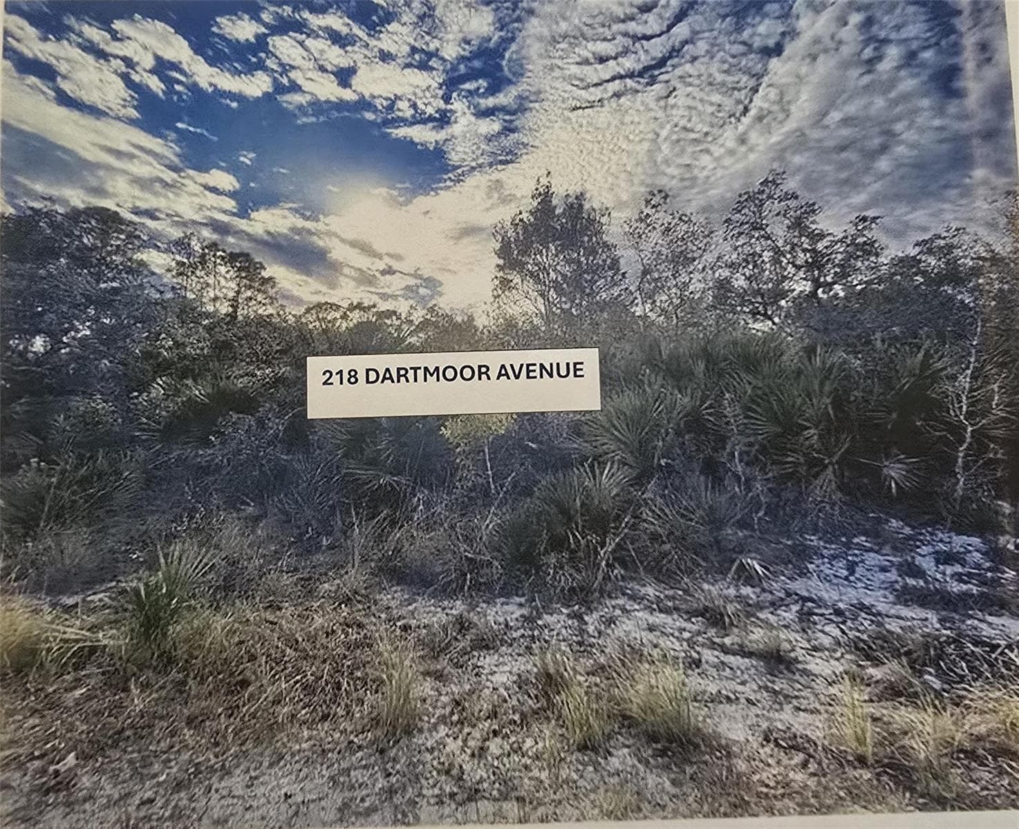 218 Dartmoor Avenue, Lake Placid FL 33852