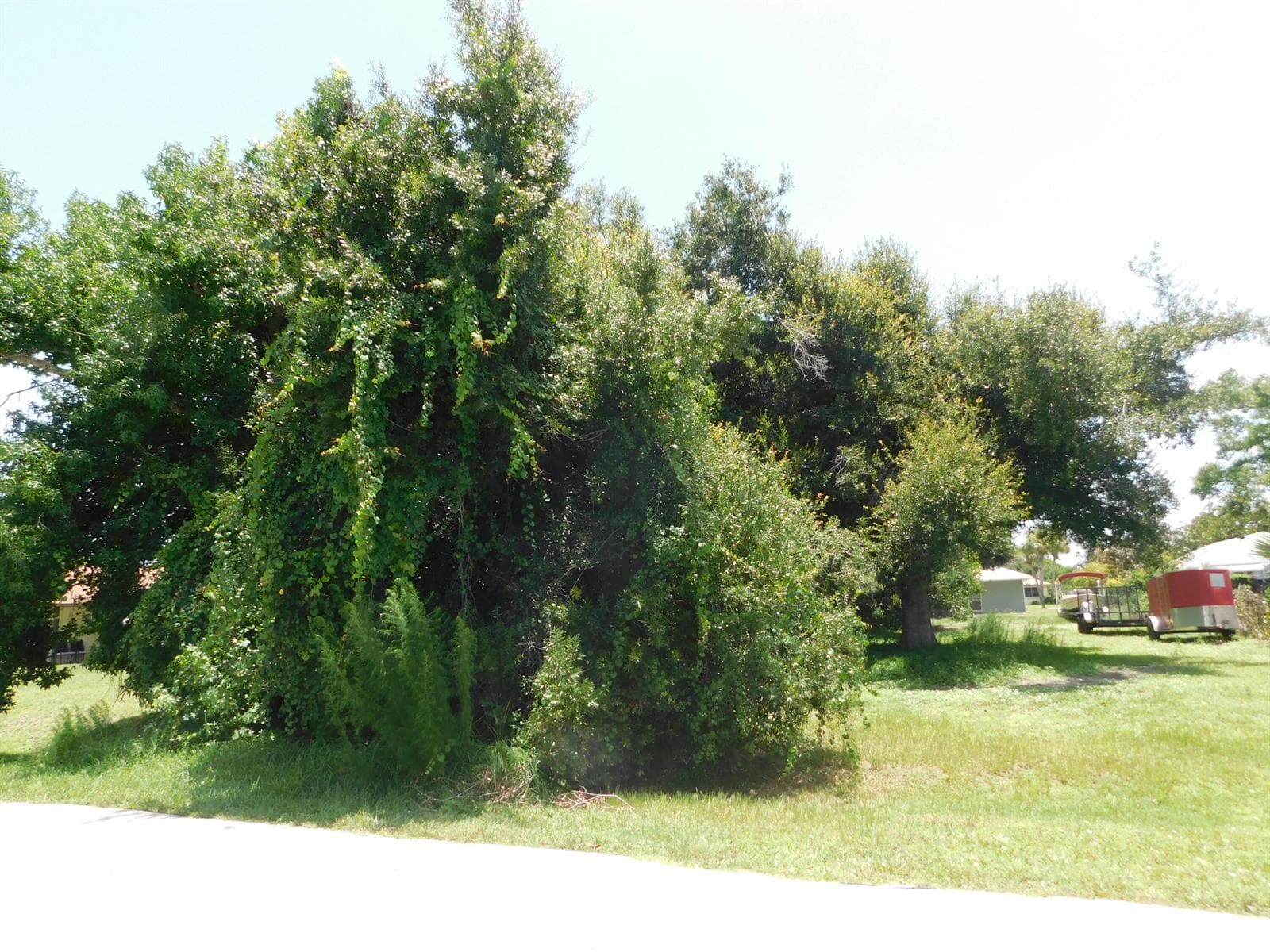 DSCN0392