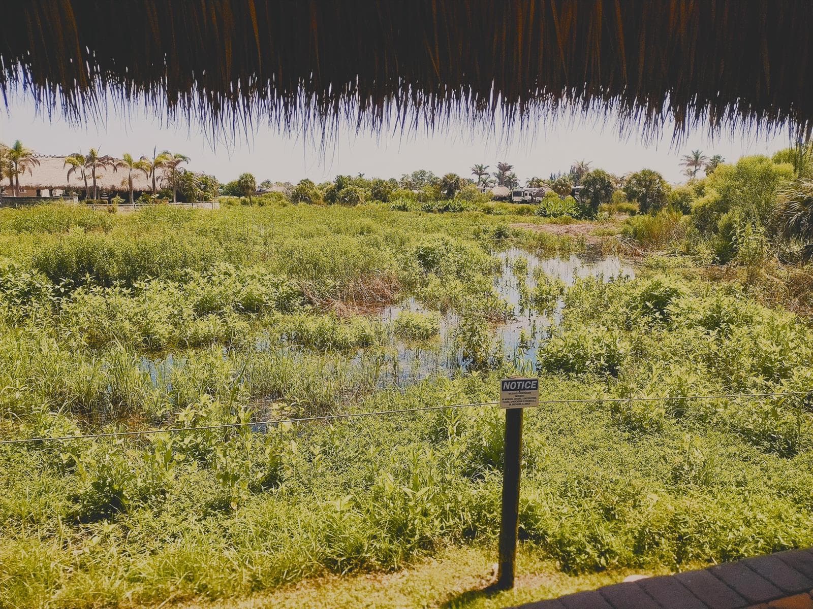Preserve view