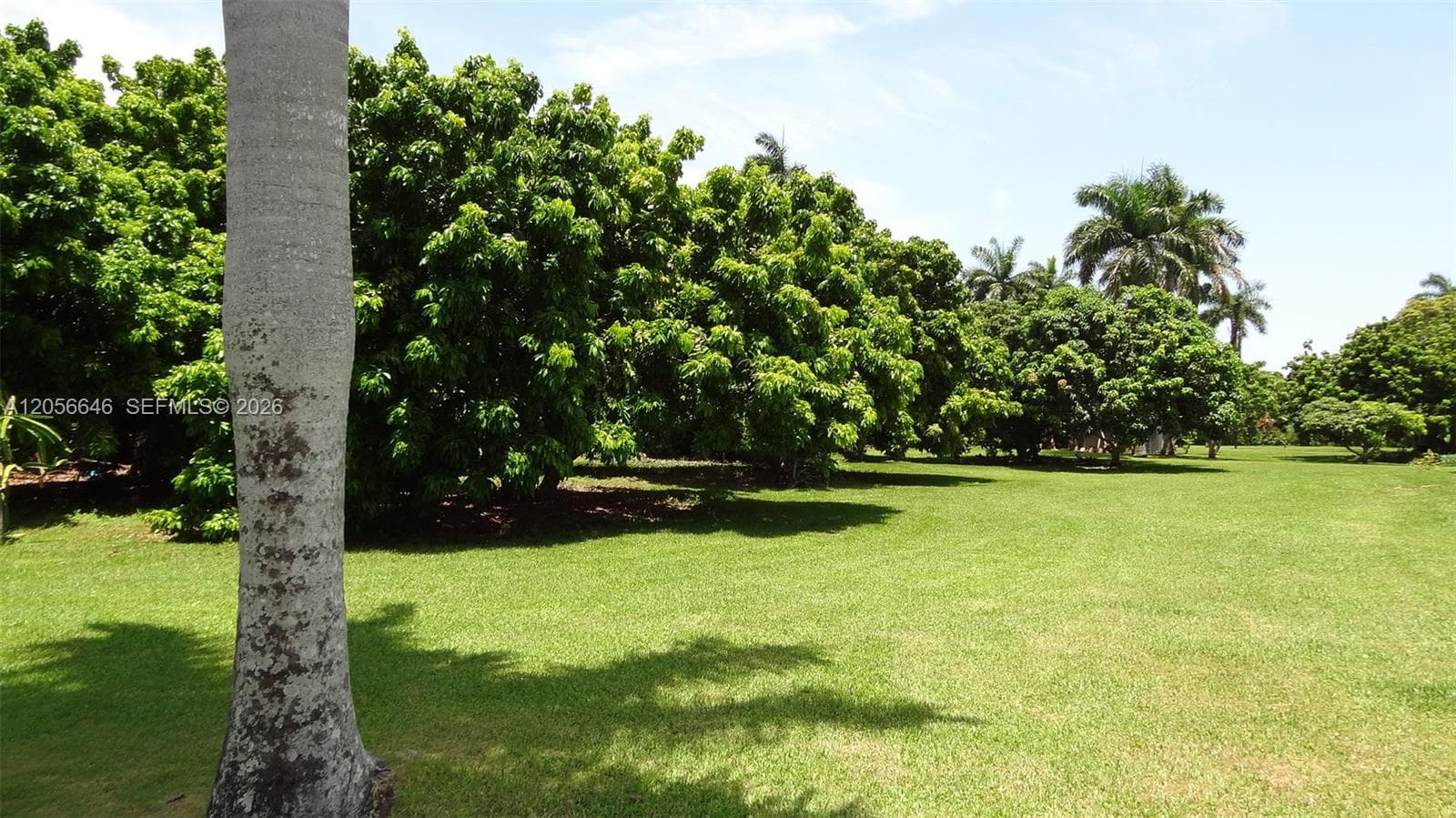4 Av NE 152 St, Biscayne Gardens FL 33162