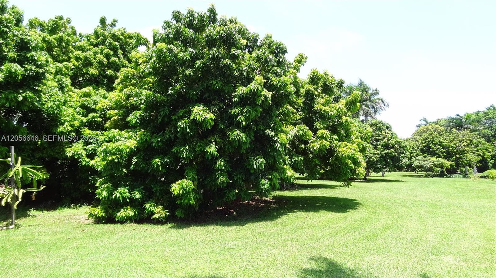4 Av NE 152 St, Biscayne Gardens FL 33162