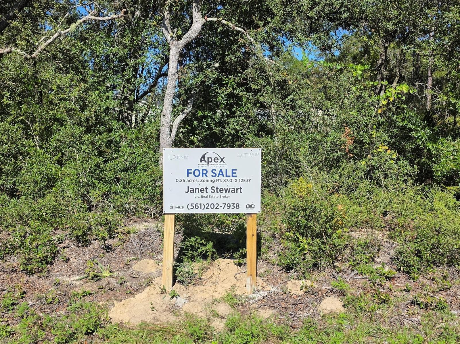 Lot 10 Malauka Circle, FL 32179