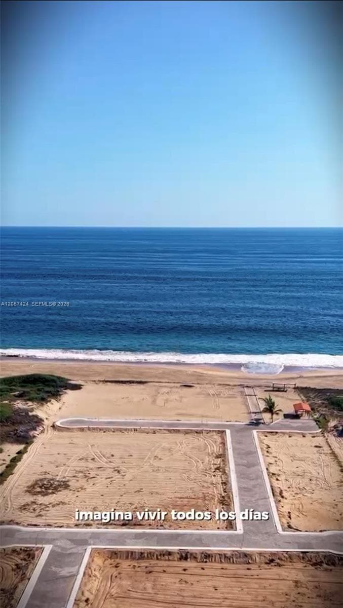 0 Parcel 46 Ejido El Rebalse, MI 48987