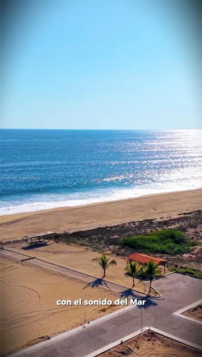 0 Parcel 46 Ejido El Rebalse, MI 48987