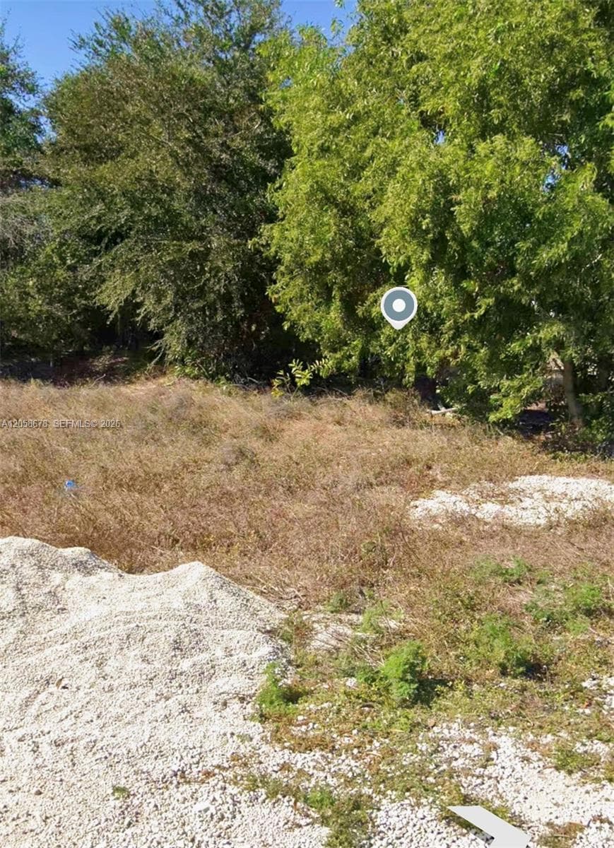 705 LABRADOR AVE N, Lehigh Acres FL 33971