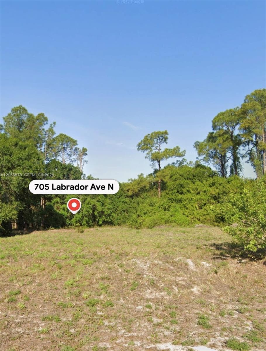 705 LABRADOR AVE N, Lehigh Acres FL 33971