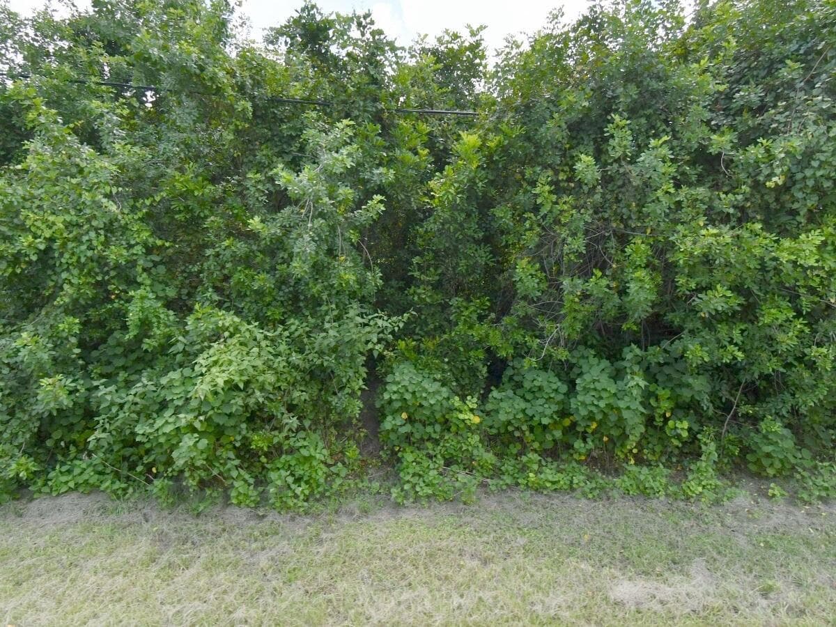 3025 SW COLLINGS Drive, Port St. Lucie FL 34953