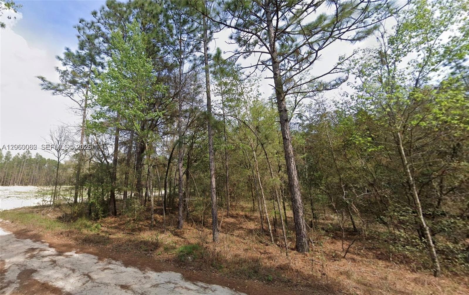 00 SW 17th Terr, Other City - In The State Of Florida FL 34432