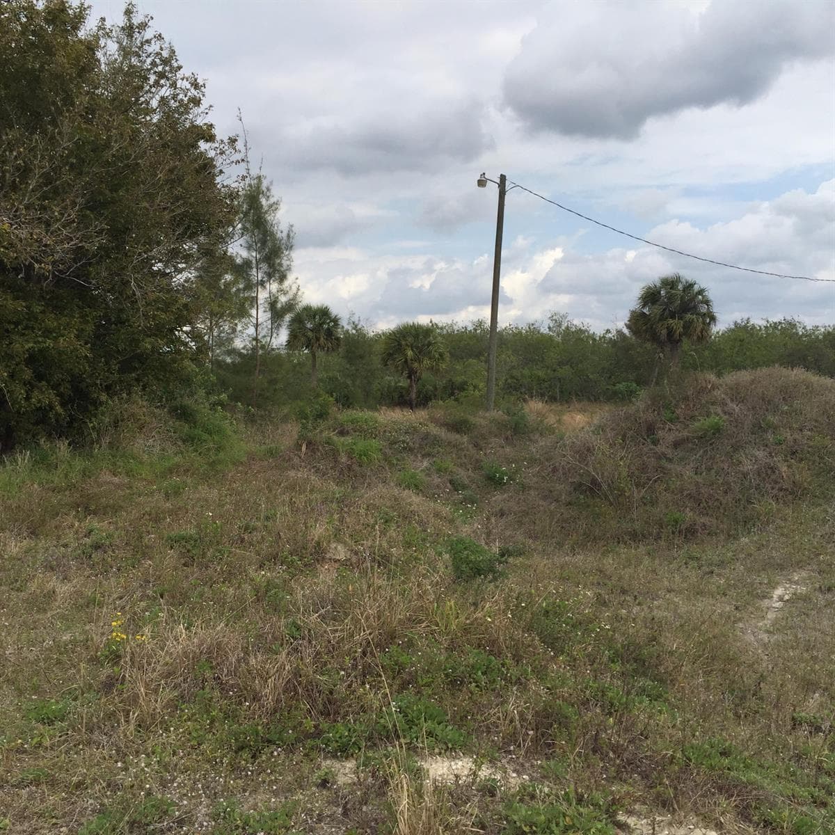 20636 LOUISE Street, Loxahatchee FL 33470