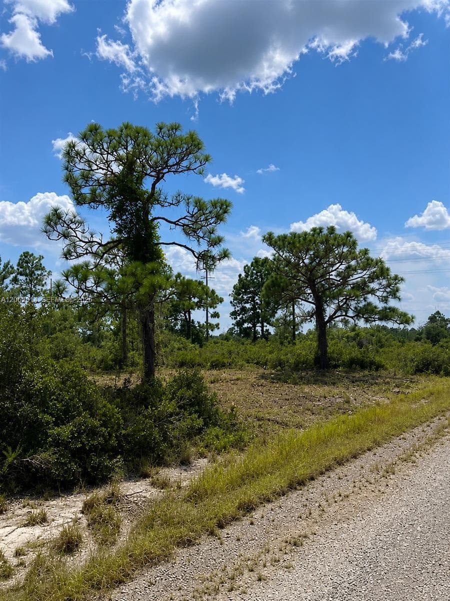 3554 MARIANA AVE, Lake Placid FL 33852