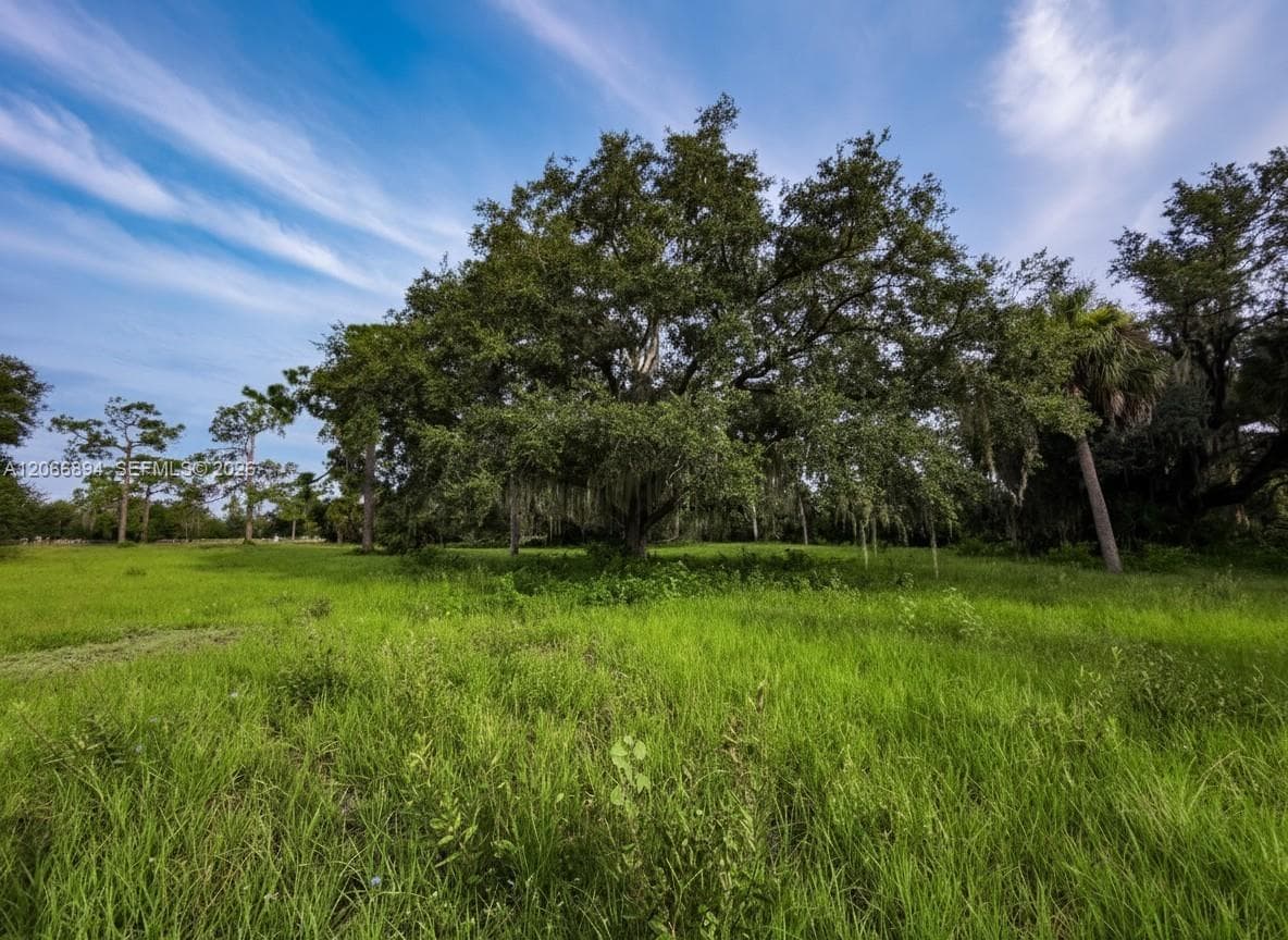 3291 Fort Denaud Rd, LaBelle FL 33935