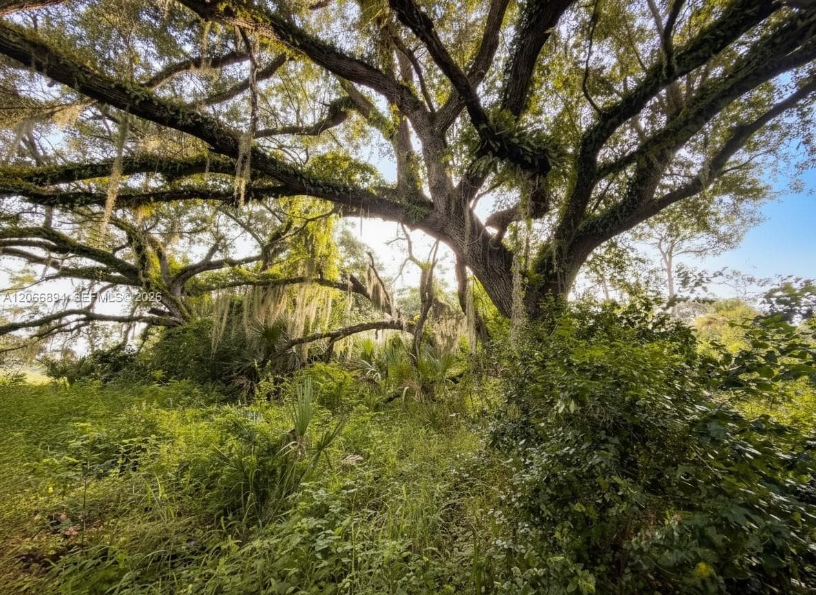 3291 Fort Denaud Rd, LaBelle FL 33935