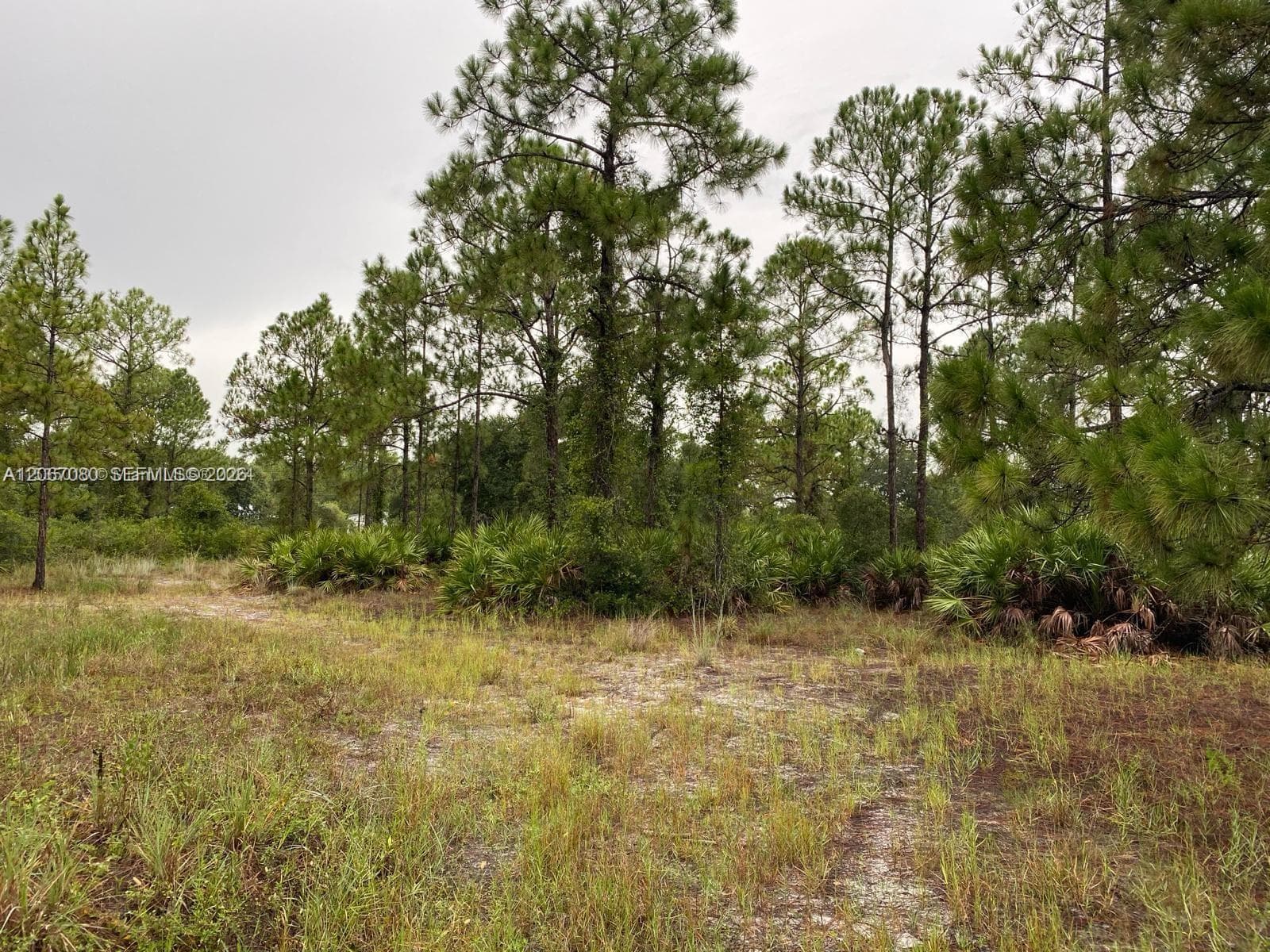 2321 Macarthur Ave, Lehigh Acres FL 33920