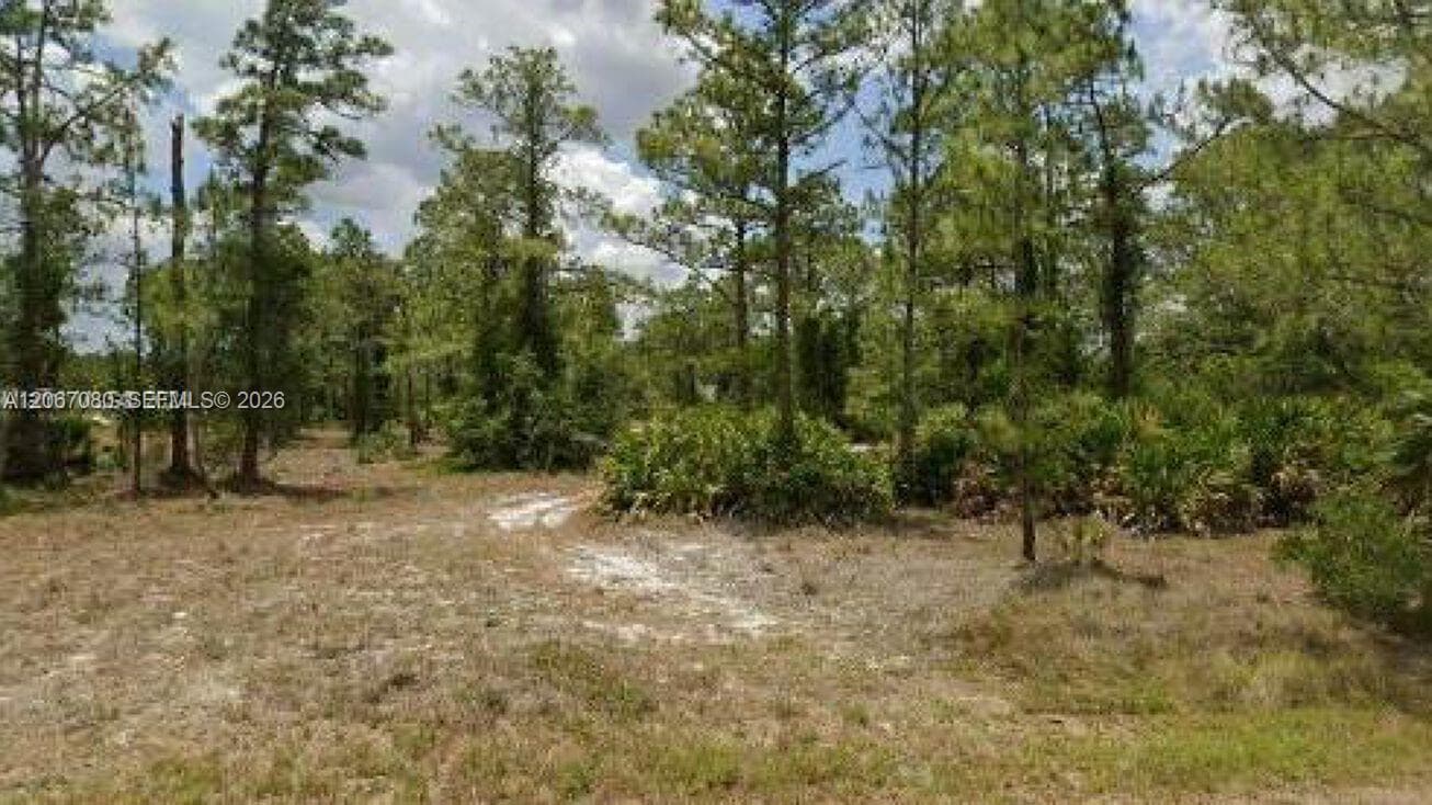 2321 Macarthur Ave, Lehigh Acres FL 33920