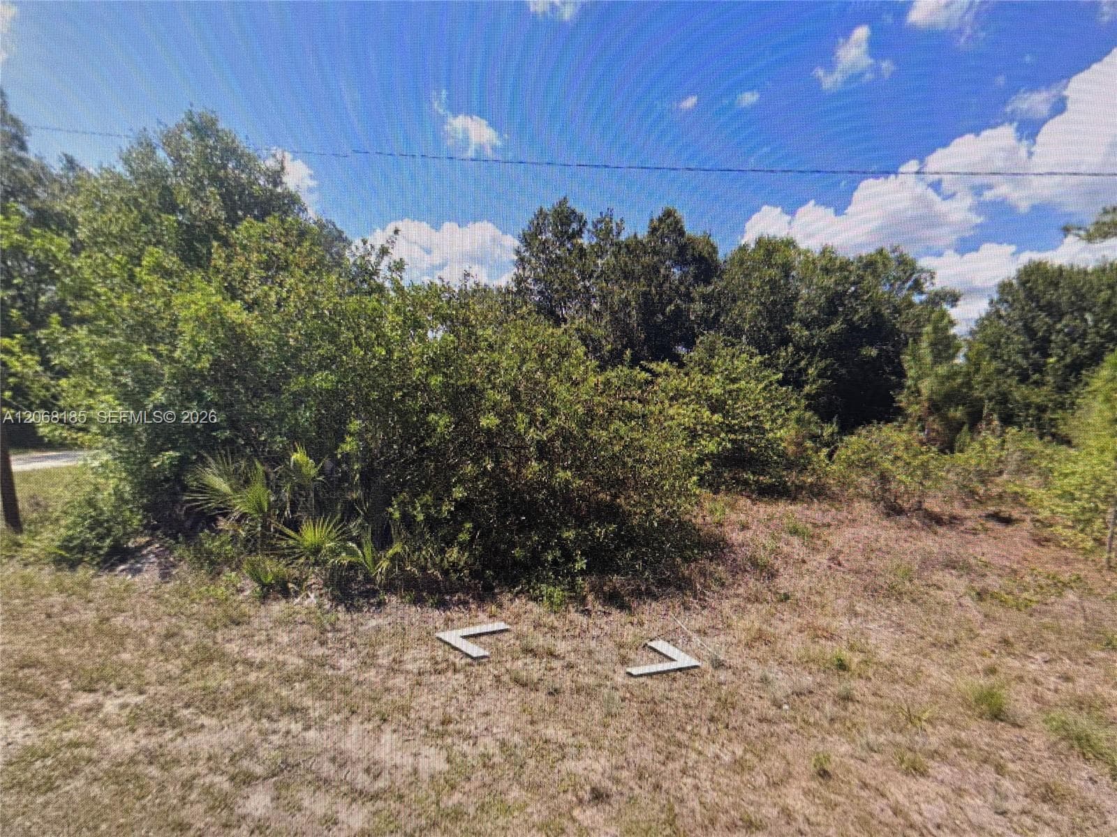 900 Michael Ave, Lehigh Acres FL 33936