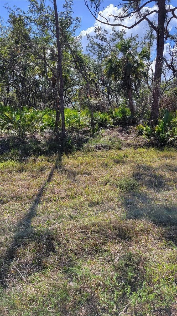 14165 chamberlain, Port Charlotte FL 33953