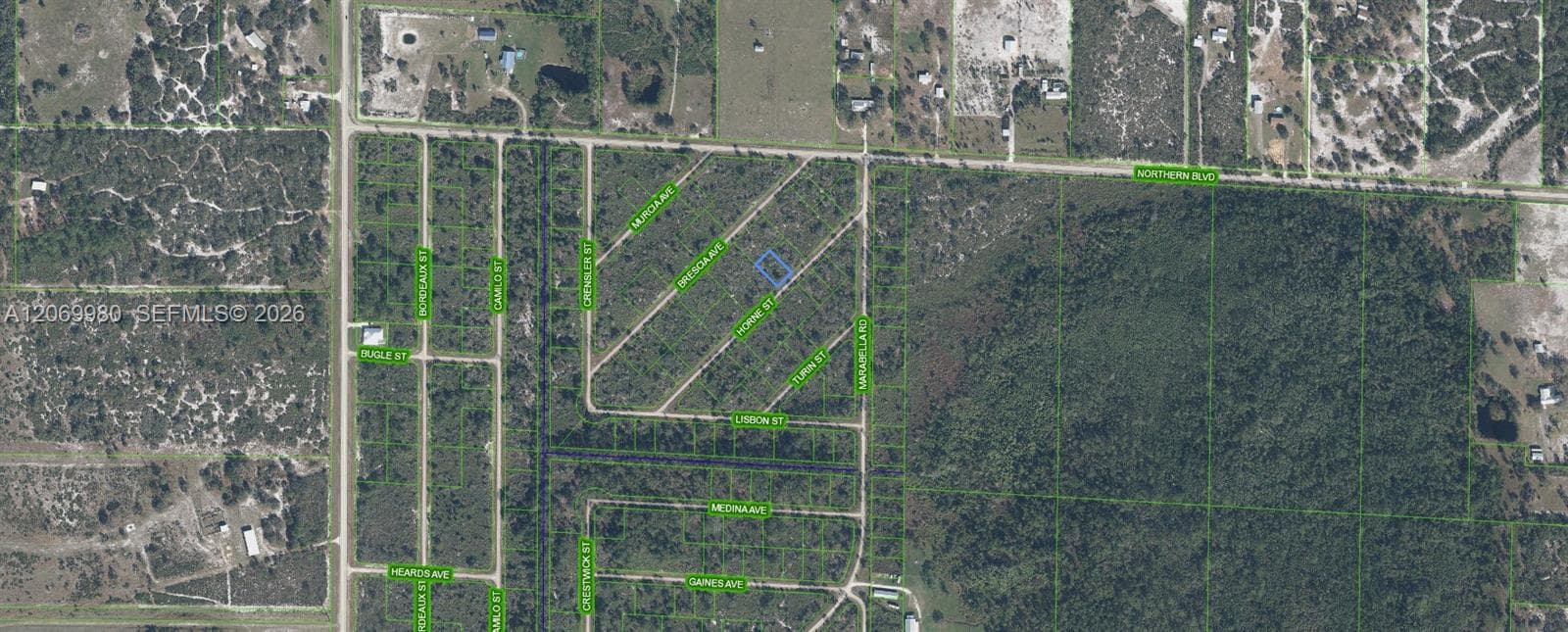 3517 HORNE STREET, Lake Placid FL 33852