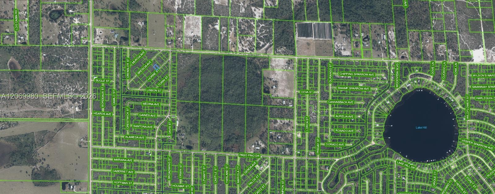 3517 HORNE STREET, Lake Placid FL 33852