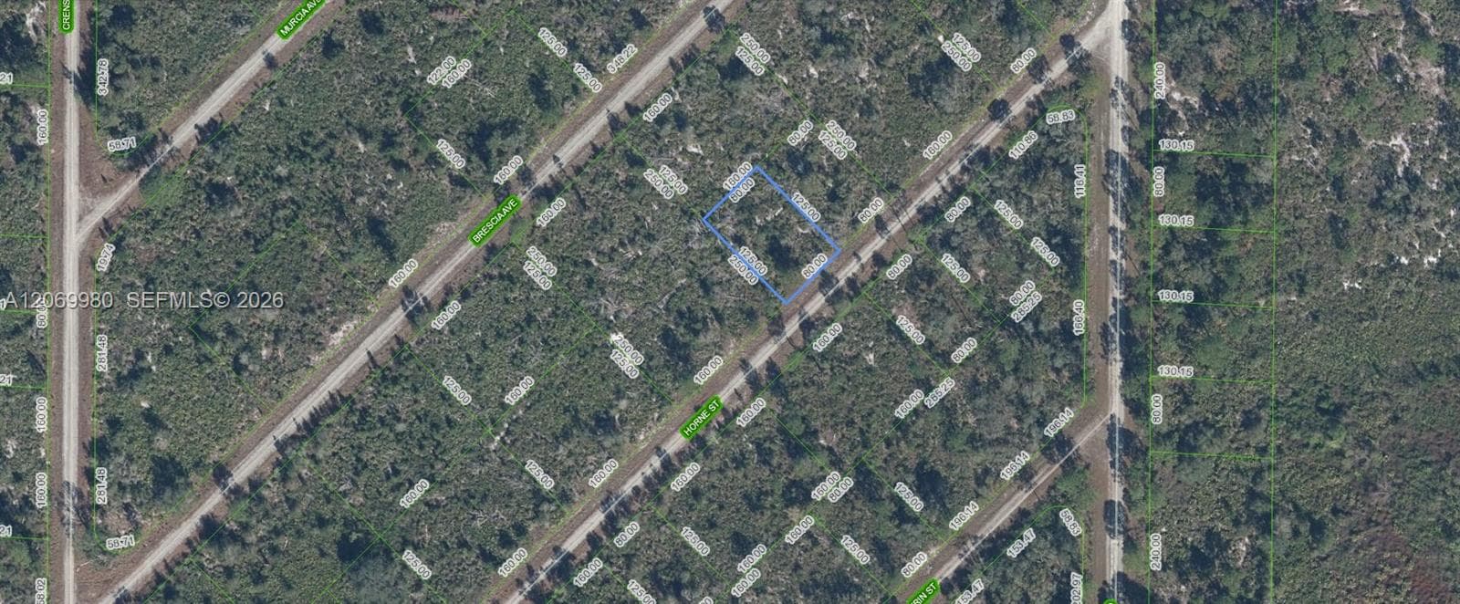 3517 HORNE STREET, Lake Placid FL 33852