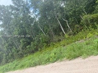 00 Range Line, Other City - In The State Of Florida FL 32068