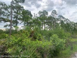 615 Wildflower Street, Lake Placid FL 33852