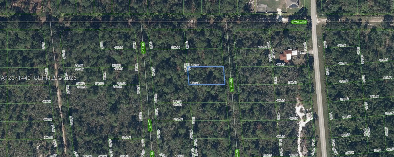 722 Ronnie Lane, Lake Placid FL 33852