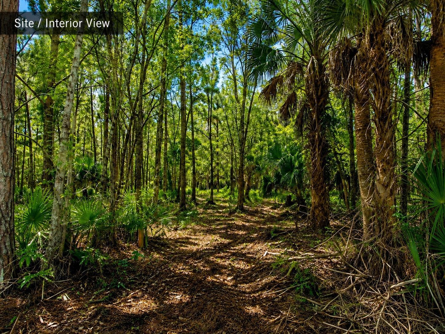 MLS_06_Site_Interior_View