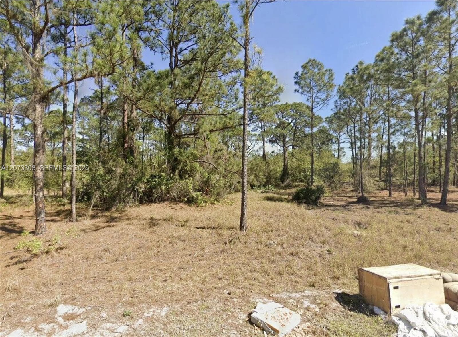 613 Lynn court, Lake Placid FL 33852
