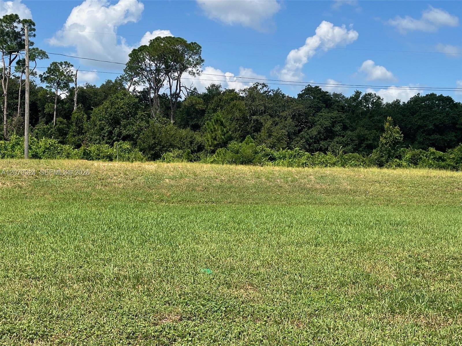 1050 Lake Carrie Dr, Lake Placid FL 33852