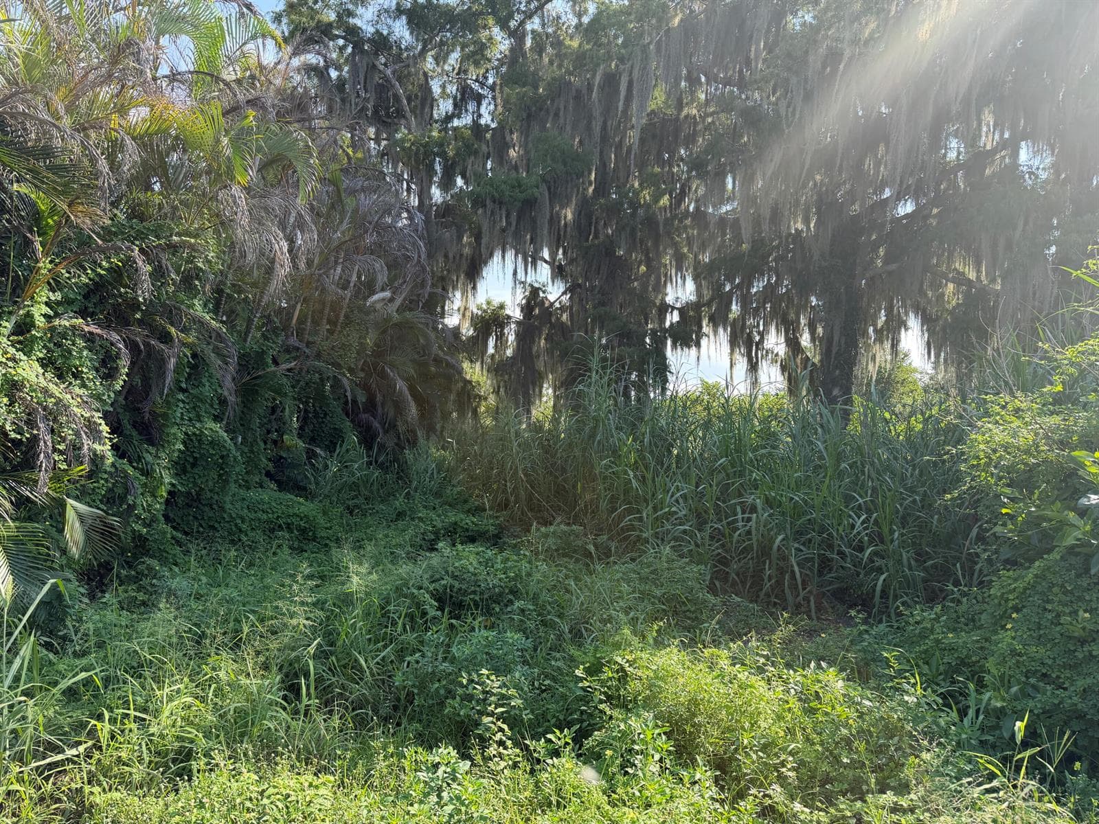 9825 U.S. 441, Okeechobee FL 34974