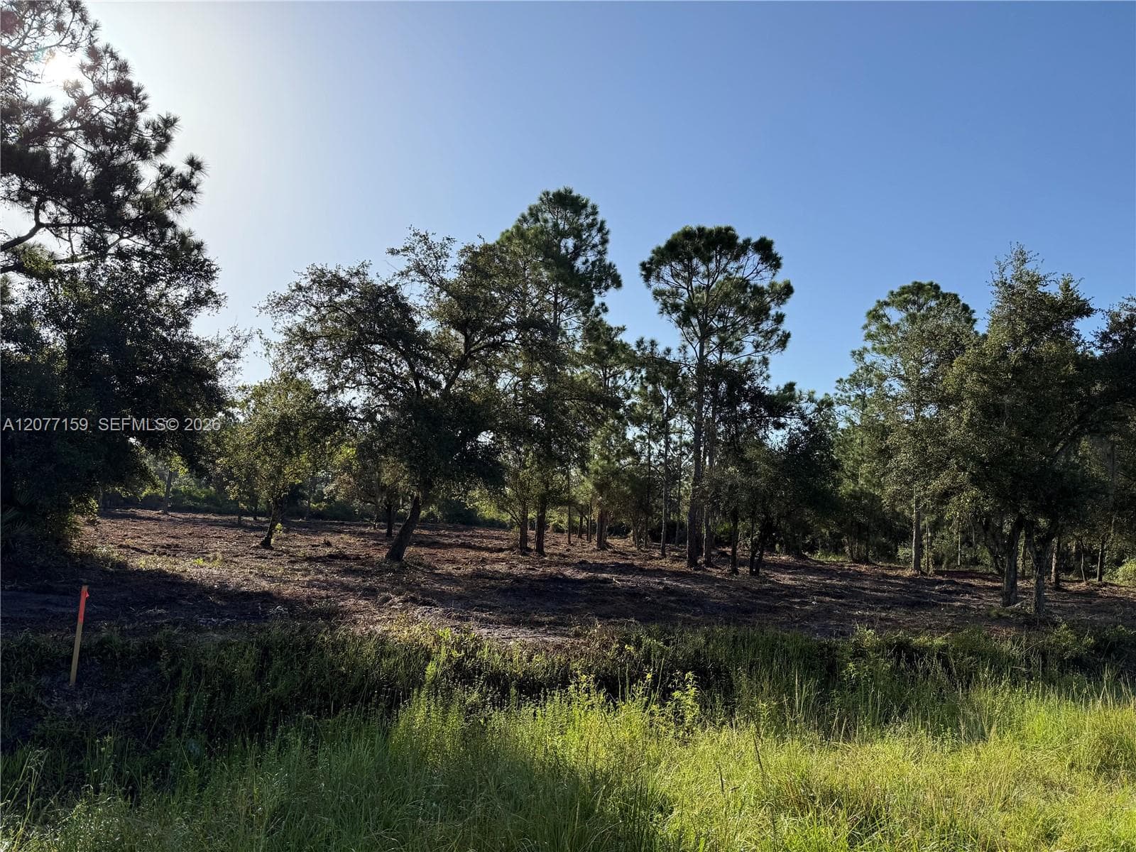 565 S PALOMINO ST, Clewiston FL 33440