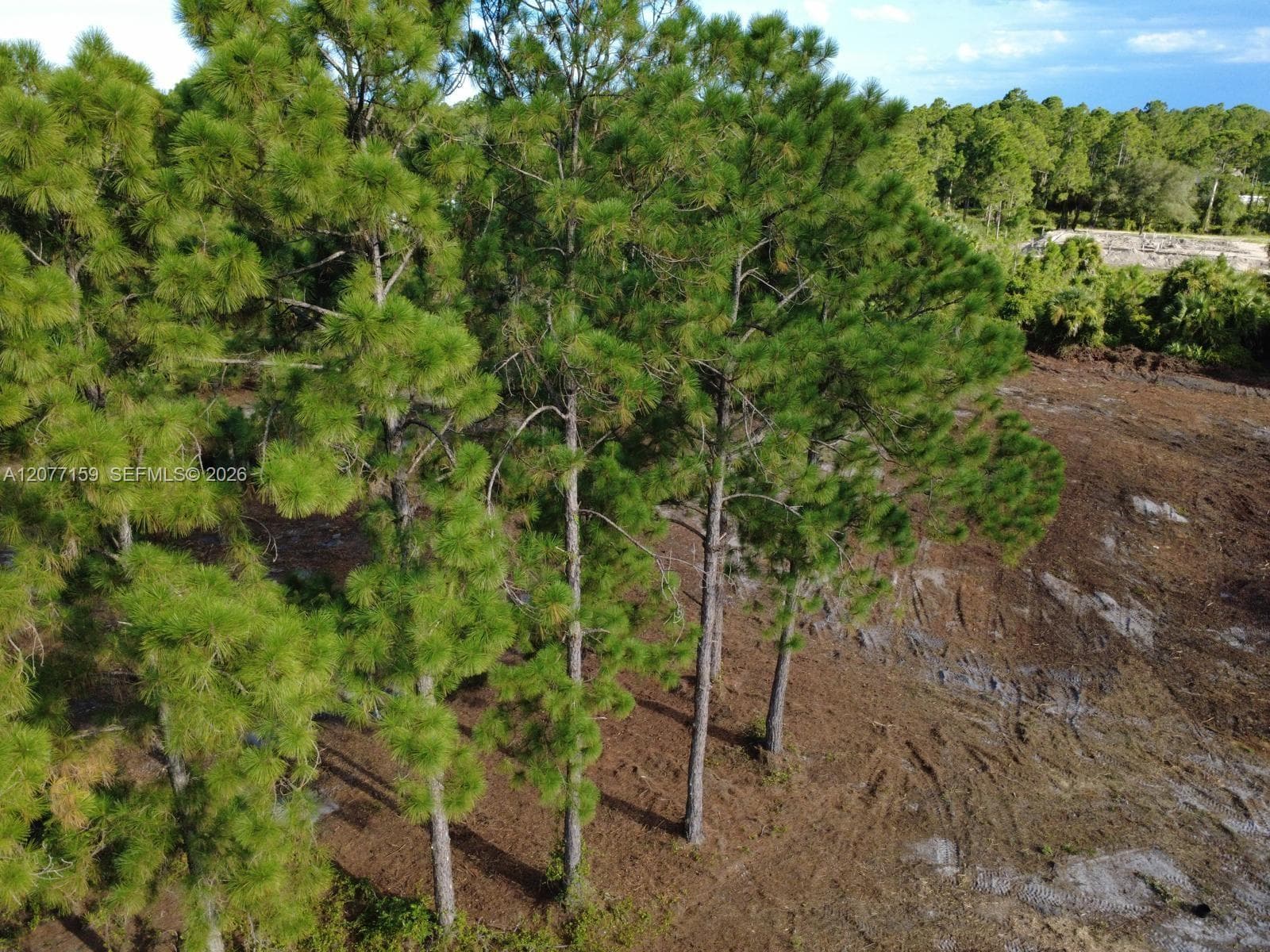 565 S PALOMINO ST, Clewiston FL 33440