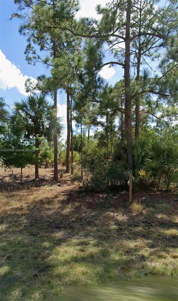 536 Hunting Club Ave, Clewiston FL 33220