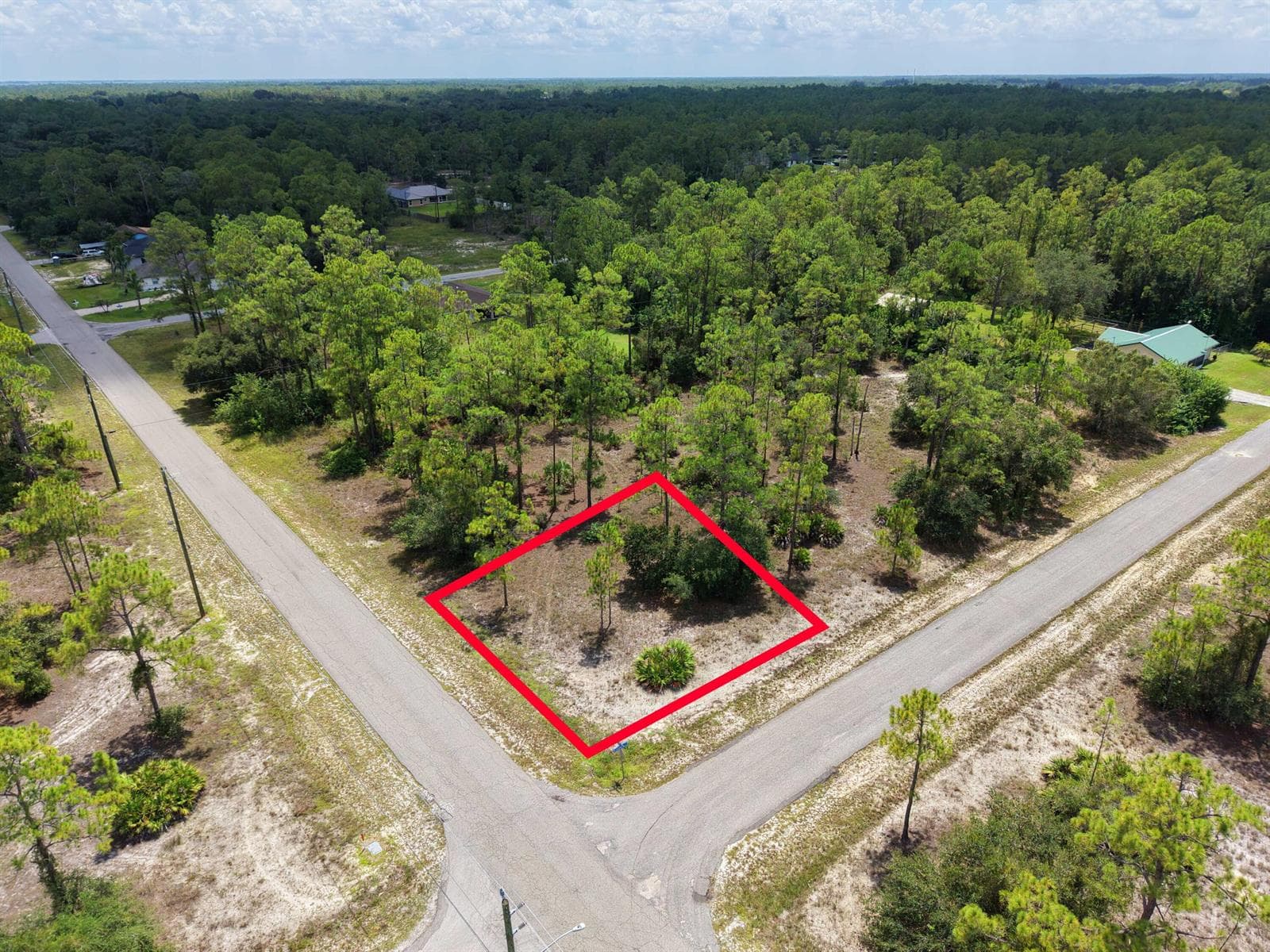 Lotline2