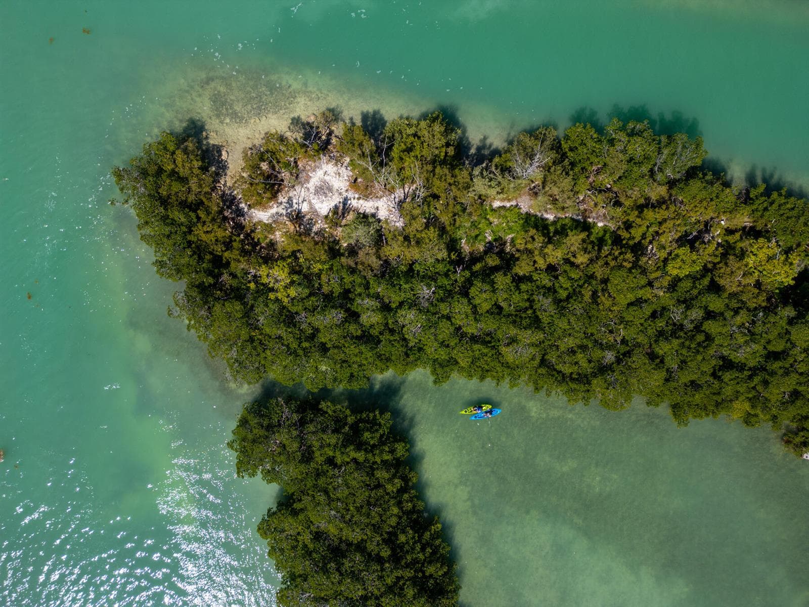 COW KEY DRONE WEB-20