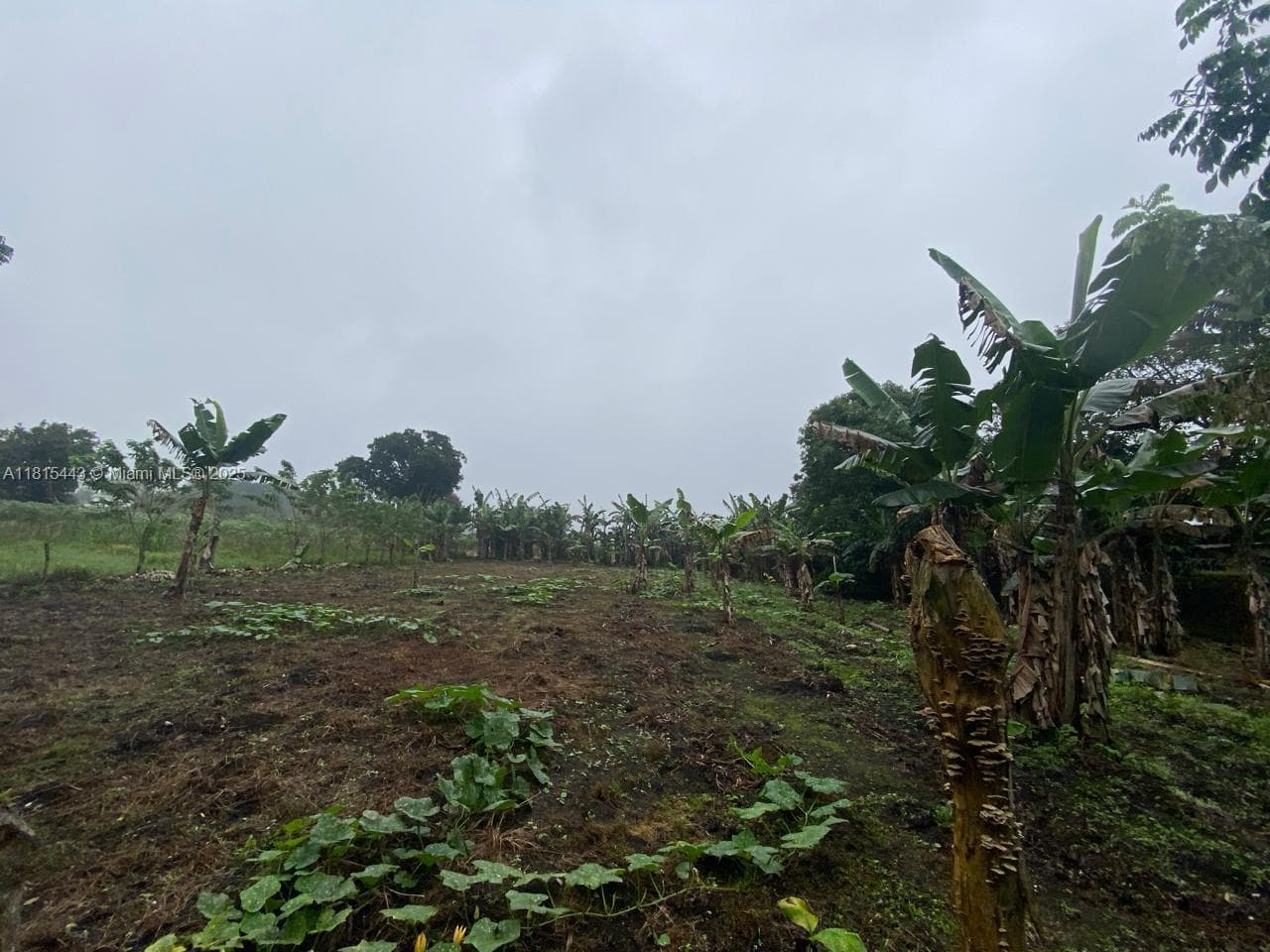 03 Lago de yojoa, MD 21000