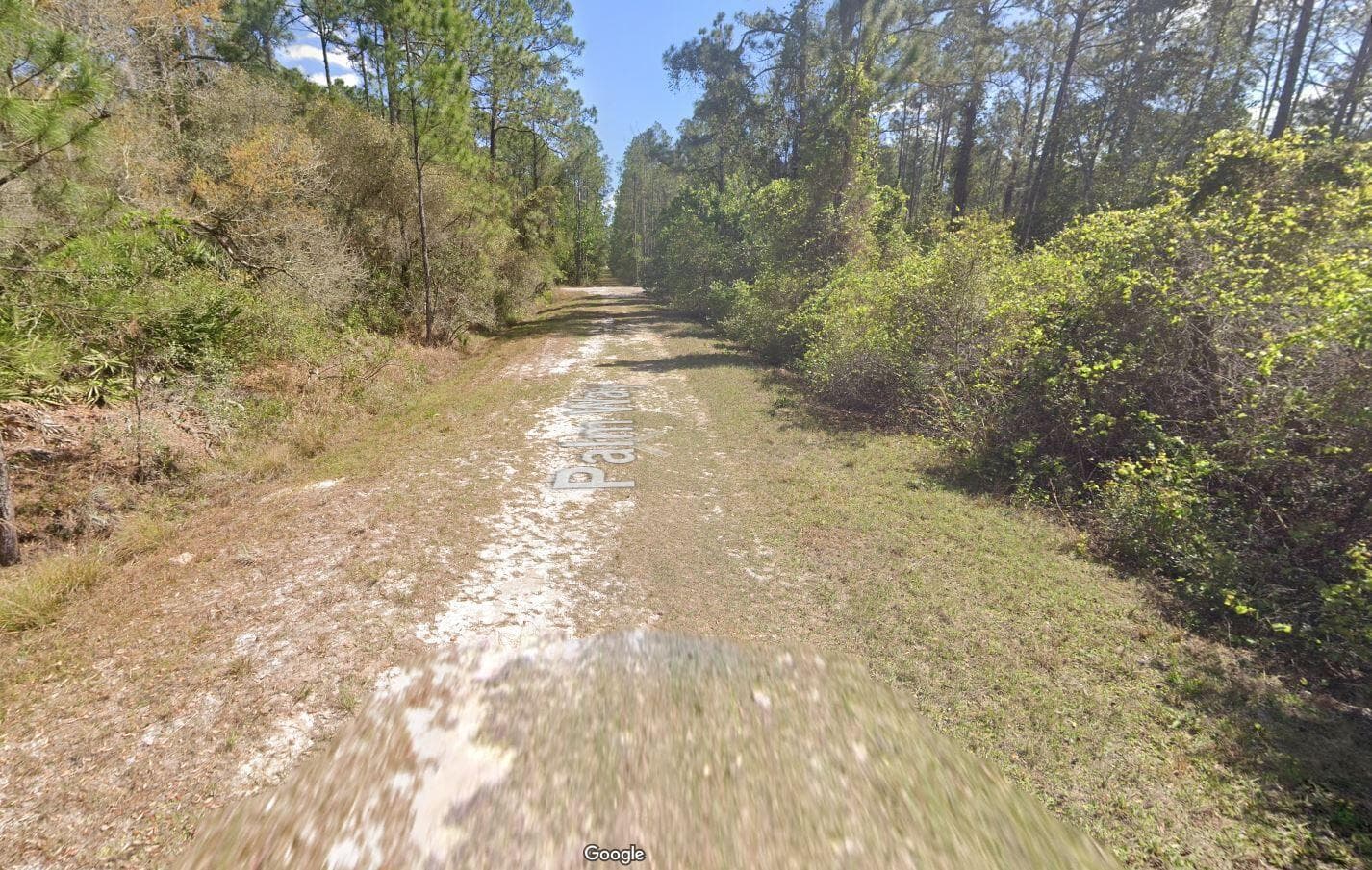 337 palm way georgetown 12