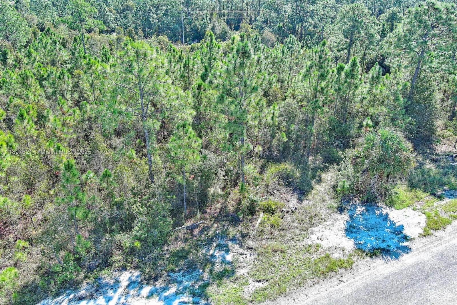 839 KALEY AVE S, Lehigh Acres FL 33974