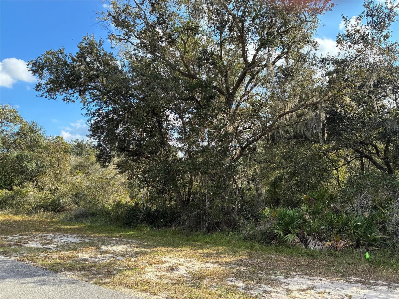 Lot 23 Blk 154 Plumosa