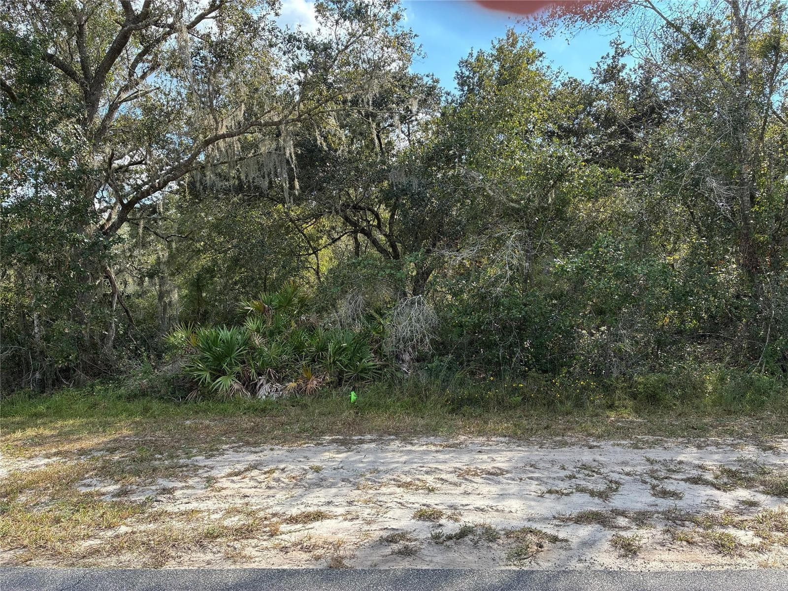Lot 23 Blk 154 Plumosa