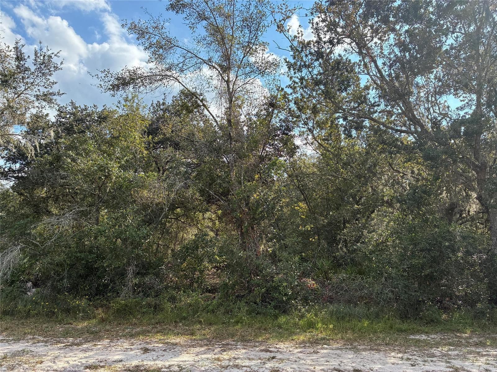 Lot 23 Blk 154 Plumosa