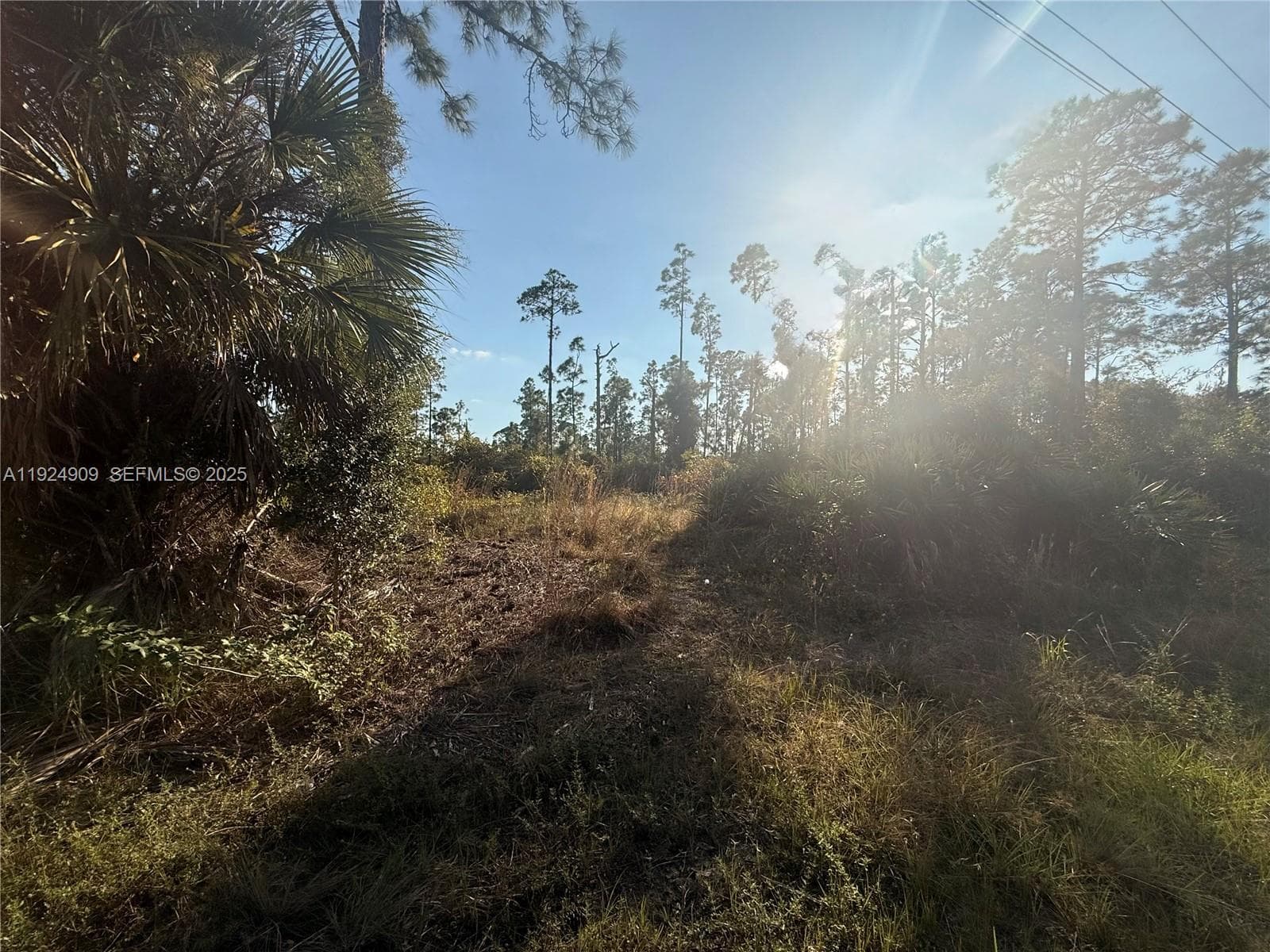 1088/1090 Ainsworth ST E, Lehigh Acres FL 33974