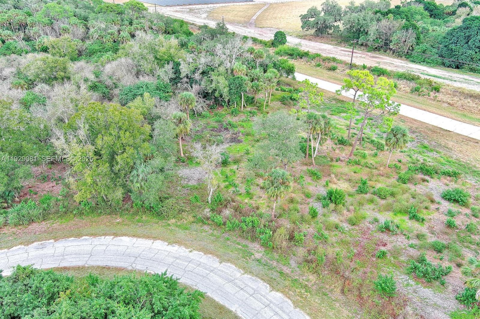 171 CAROUSEL AVE, La Belle FL 33935