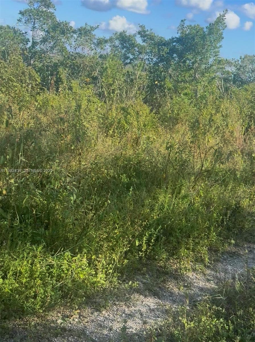UNINCORPORATED, UNINCORPORATED,, Homestead FL 33035