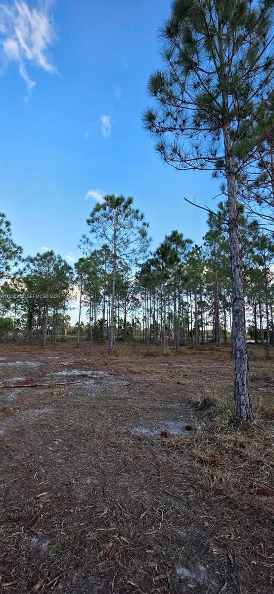 17975 NW 298 st, Okeechobee FL 34972