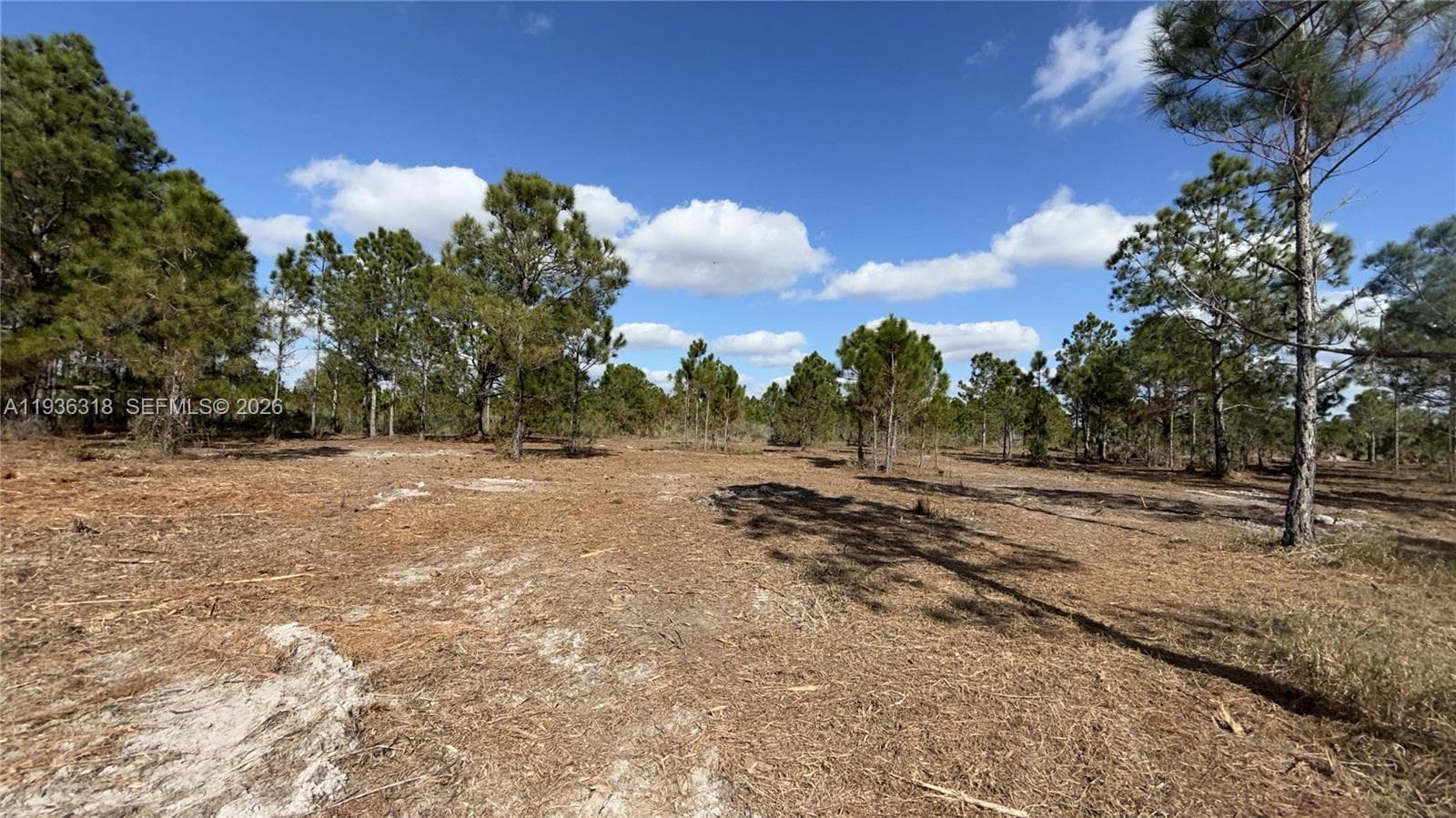 17975 NW 298 st, Okeechobee FL 34972