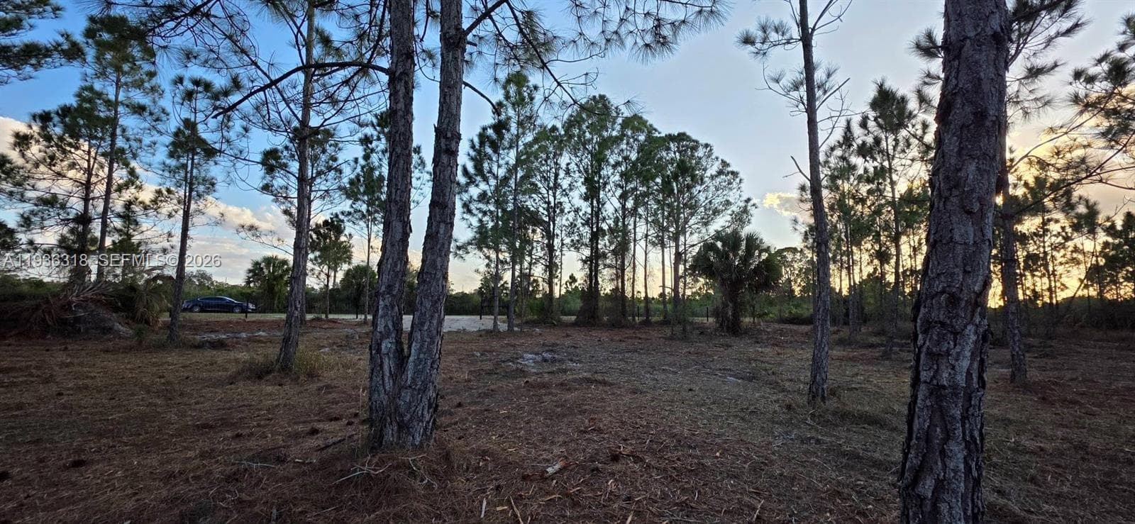 17975 NW 298 st, Okeechobee FL 34972